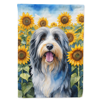 Drapeau de la maison du tournesol Malamute d'Alaska