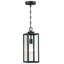 Schlesinger Outdoor Hanging Lantern