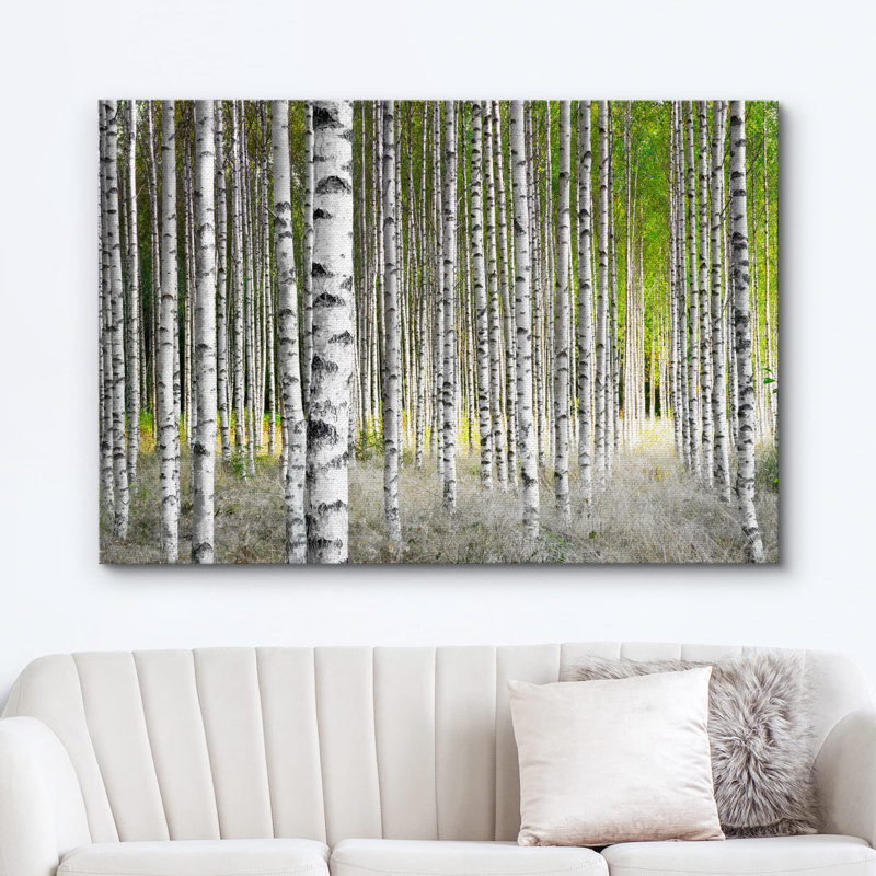 Aspen Birch White Birch Trees In Green Forest sur toile, H 16 po x l 24 po x P 1,5 po, Toile tendue