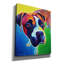 «Boxer - Leo» par Dawg Painter-1347779809