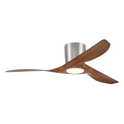 Ventilateur de plafond 52 po avec lumières DEL Frankhouse