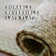 Damal Braided Jute Non-Shedding Sage Green Rug