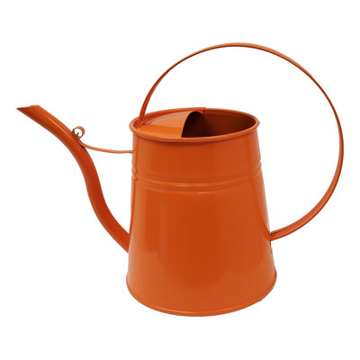 Viriato Verona Watering Can