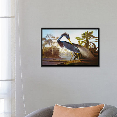 James Audubon - Print