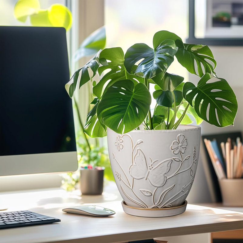 Pot à fleurs 8 "en céramique blanche avec drain et soucoupe