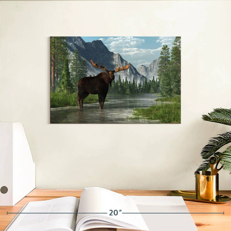 Habitat Bull Bull, H 8 po x l 12 po