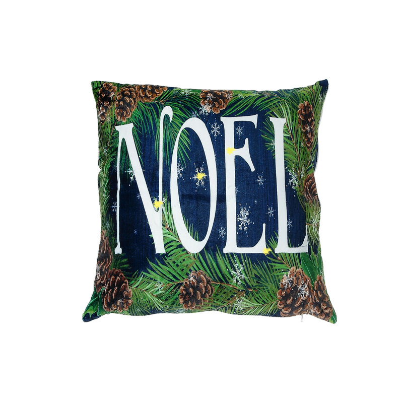  Housse de coussin carré en velours
