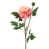Crème rose est en rupture de stock