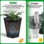 Pot Planter-685284878