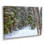 «Winter Forest», reproduction d'art sur toile, route enneigée dans la forêt-984435562-984435556-984435553