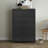 Isenbert Crissman 5 Drawer Dresser-121612415
