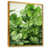 Gold Floater Framed