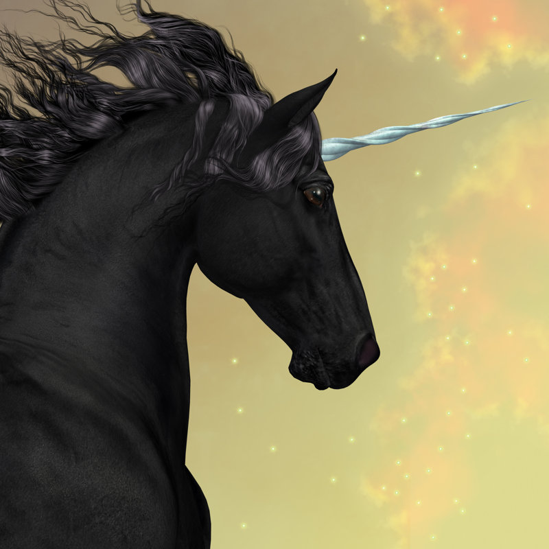 «Black Friesian Unicorn» par Coreyford, impression sur toile tendue, L 12 po x H 12 po