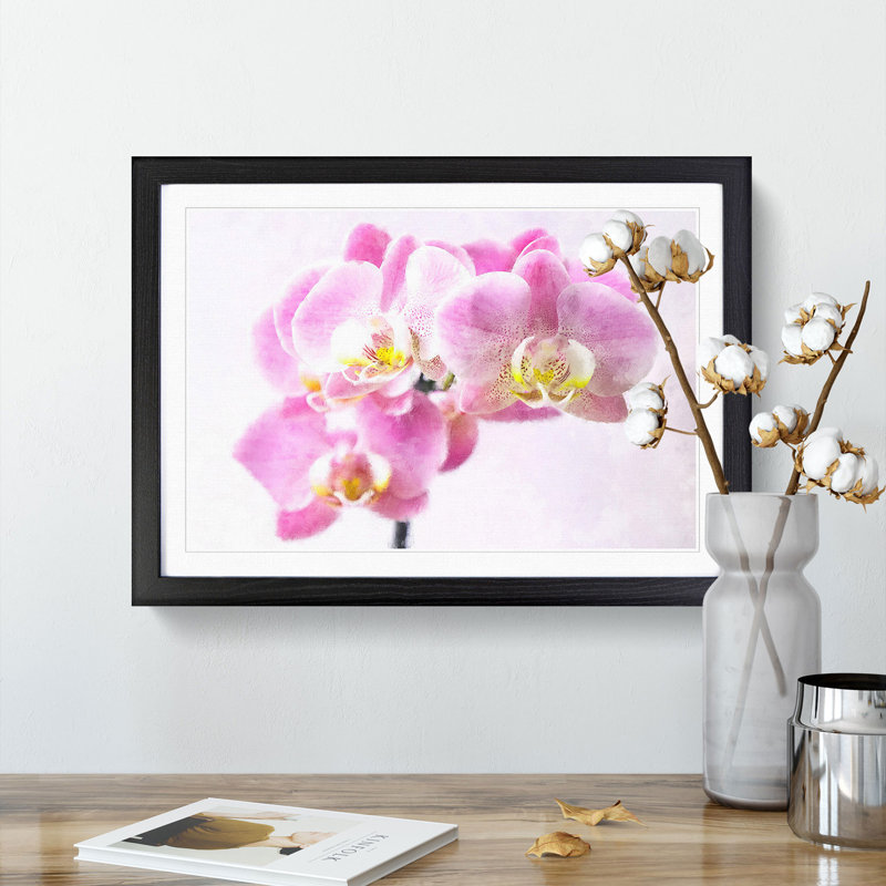 Pink Orchid Flower - Single Picture Frame Print on MDF, Black, 33cm H x 45cm W x 2cm D