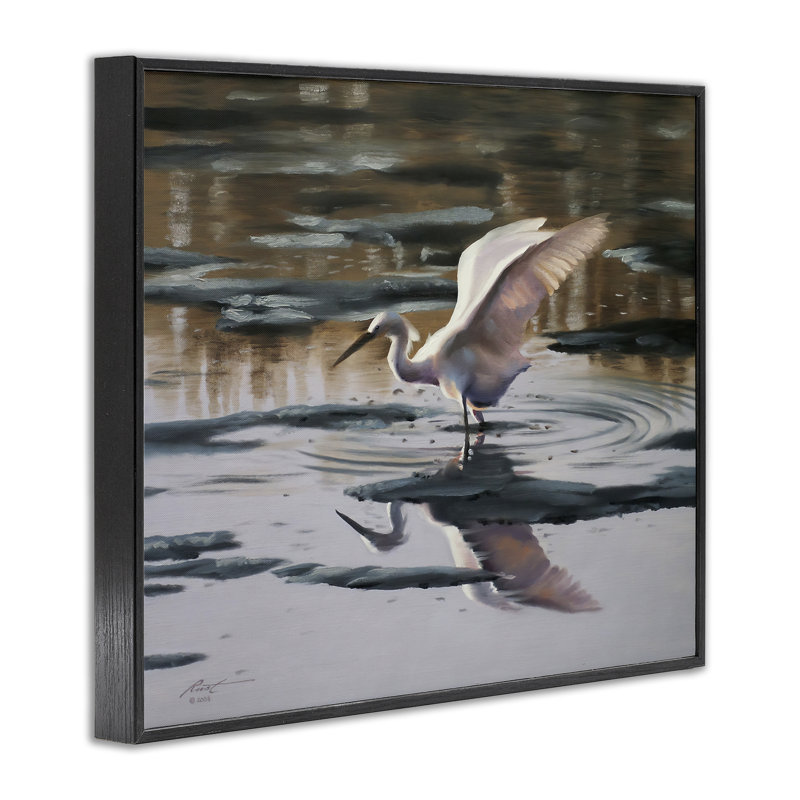Swan Landing in Water, estampe numérique encadrée par D. Rust, H 11 po x l 14 po, Giclée encadrée noir minuit