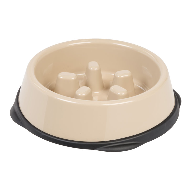Chargeur lent IRIS, Museau court, Beige