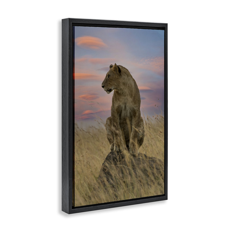 Lionne forte au coucher du soleil, Cadre flottant noir de jais, H 25 po x l 17 po