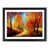 Black Framed selected