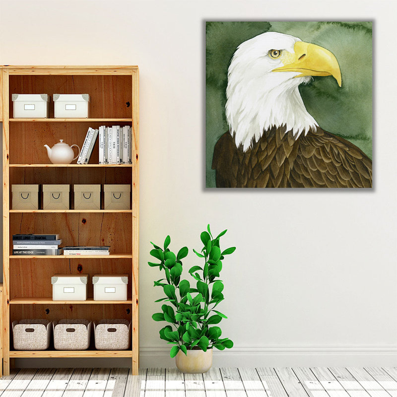 Bald Eagle Stare I - Canvas Print Wall Art, 24" H x 24" W