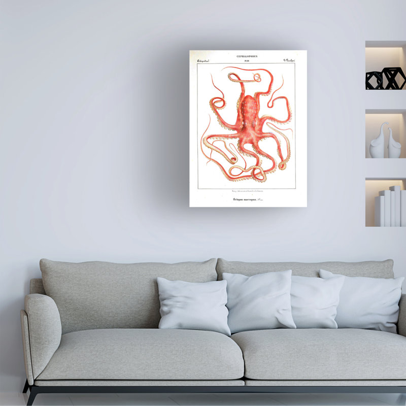 Art sur toile Marcus Jules Octopus 1876, H 14 po x l 19 po