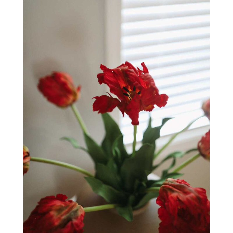 Real Touch Lemon Parrot Tulip 27", White