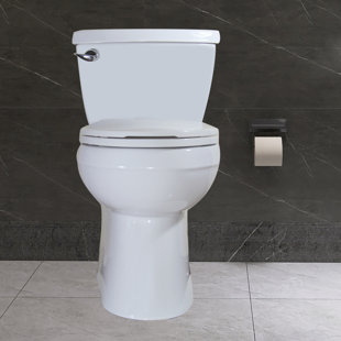 Wonchael 1.28 Gallons GPF Elongated Chair Height Floor Mounted Kit (Seat Included)