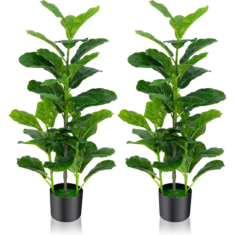 Evergreen Plant in Pot, 100cm H x 15cm W x 15cm D
