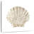 Aletra Coastal Studded Shell II-109229300