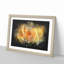 Yellow Rose - Framed Print-56842360-56842361