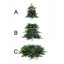 Sapin de Noël artificiel éclairé Fraser-2123314412