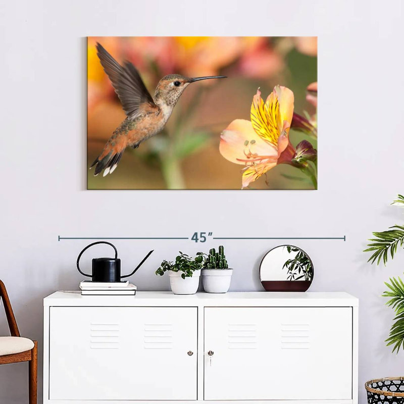 Brampt Charming Hummingbird, 24" H x 36" W