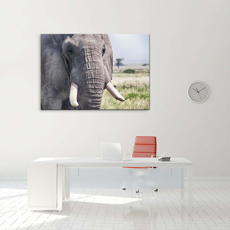 Wall Art on Canvas, 100cm H x 150cm W