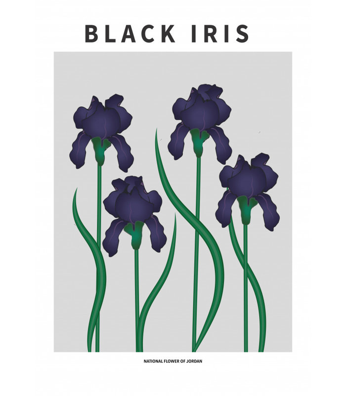 "Black Iris", art mural texturé encadré, Noir, H 24 po x l 18 po