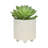 S/2 6/8" TEXTURED PLANTERS-2076193740
