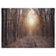 «Forest Pathway View at Sunset», reproduction de photo sur toile tendue-19240528