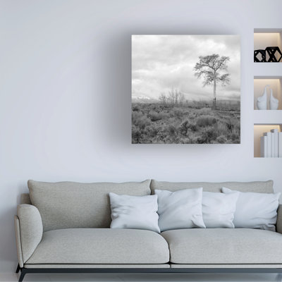 Bolog Kent Flora Jackson County Canvas Art