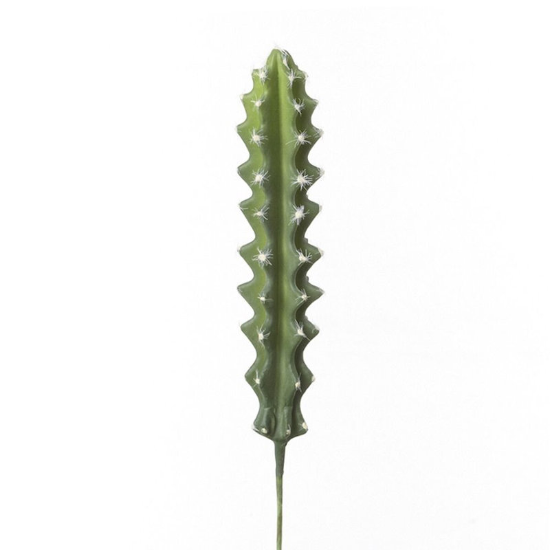 Cactus Arrangement, Cream