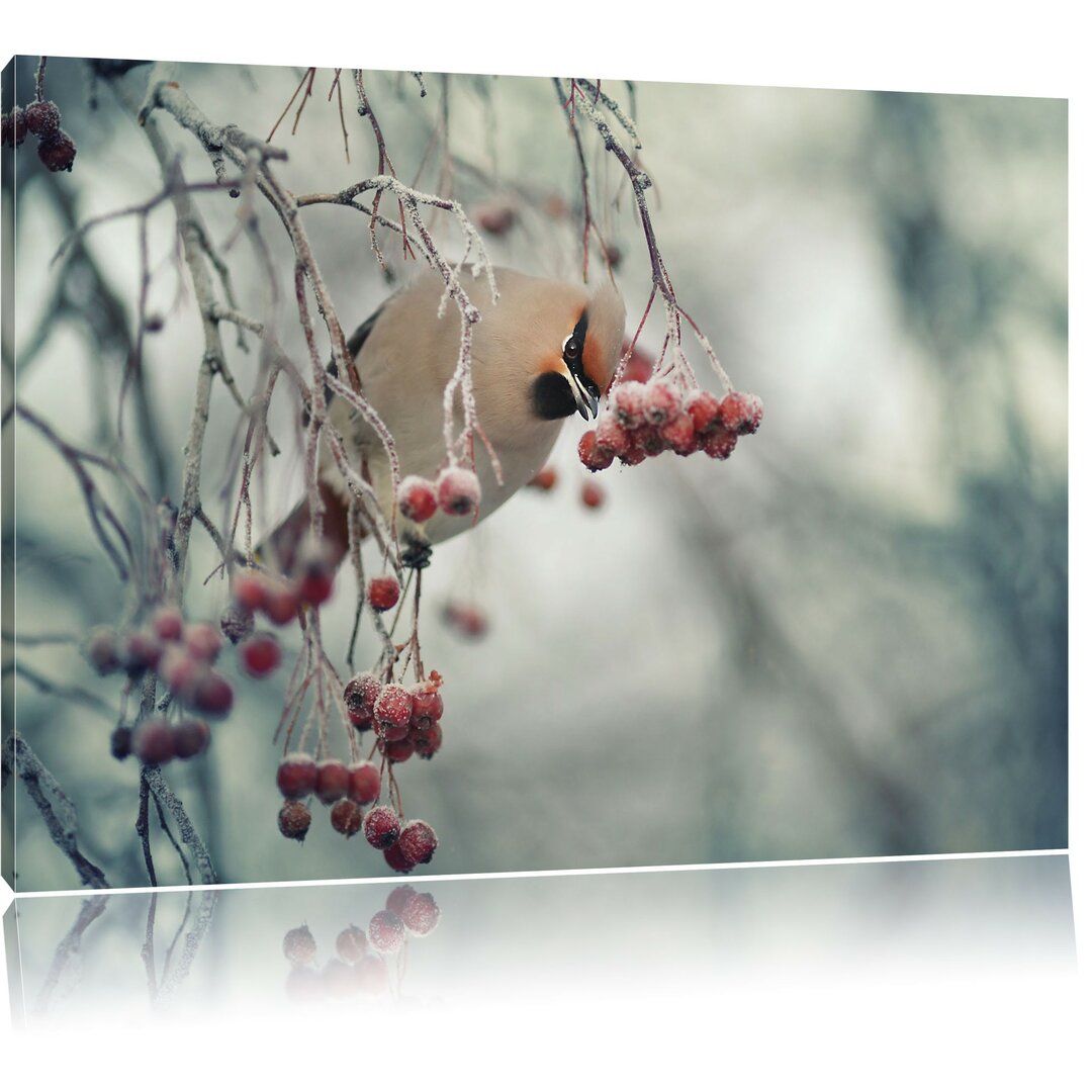 Leinwandbild Kleiner Vogel im Vogelbeerbaum