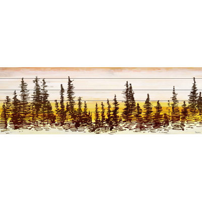 " Pine Tree Sunset " by Parvez Taj
