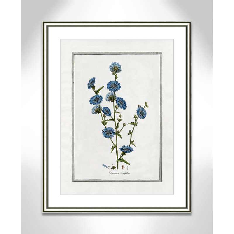 Colombe Soft Botanical I - Art encadré avec fond perdu, L 18,25 po x H 24,25 po, Cadre argenté