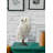Halloween Animals Figurines & Collectibles-2100307043