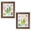 «Succulent and Cacti Chart III and Succulent and Cacti Chart IV», ensemble de 2 reproductions d'impressions-32036727-32131999