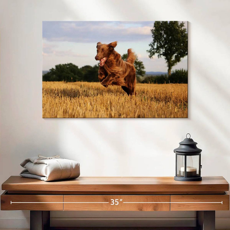 Brampt Happy Brown Retriever, 16" H x 24" W
