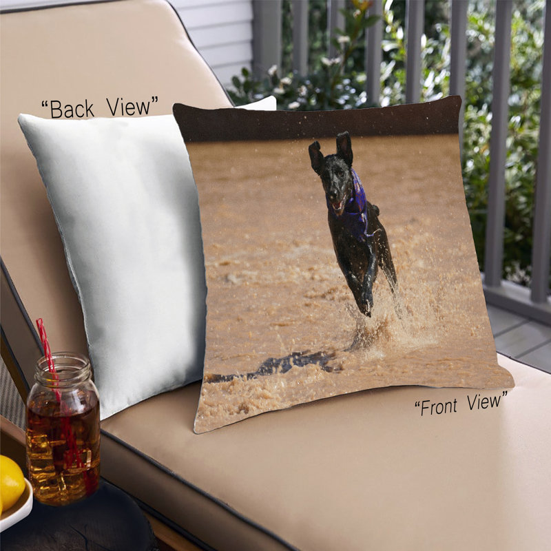 Coussin Dogs Dogs 76, Synthétique