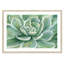 «Fitzsimmons Succulent», reproduction de peinture acrylique encadrée