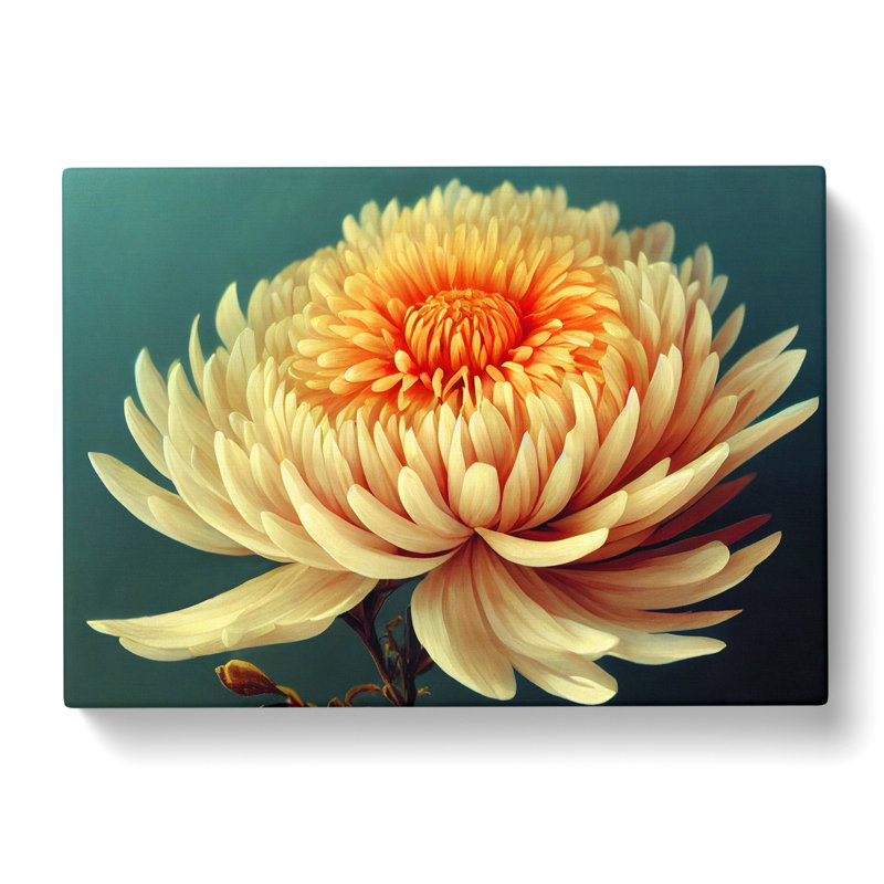 Angelical Chrysanthemum Flower - Wrapped Canvas, 50cm H x 76cm W x 3cm D