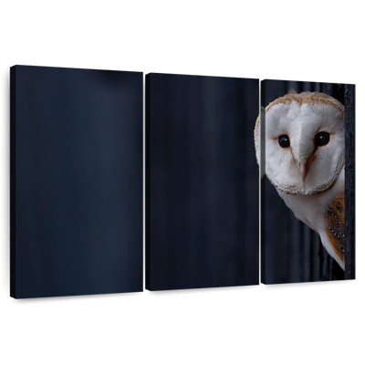 Hibou regardant dehors