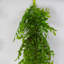 Hetton 100cm Faux Plant-1662862555