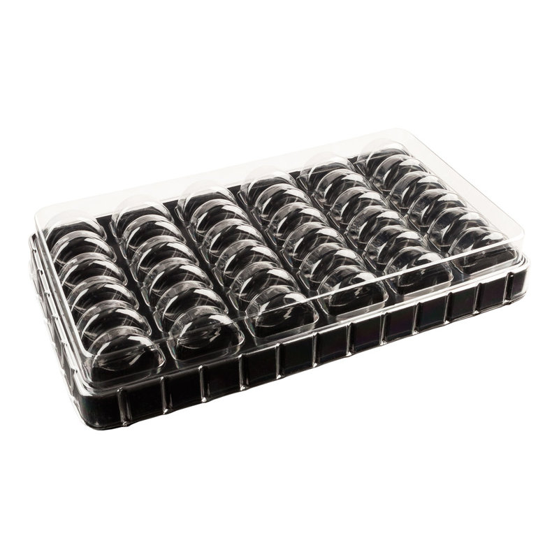 Disposable Tableware