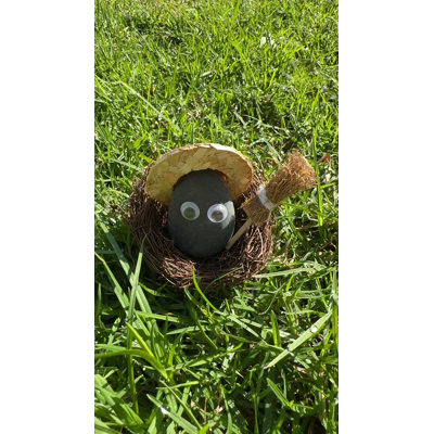 Pet Pebbles Buddy 